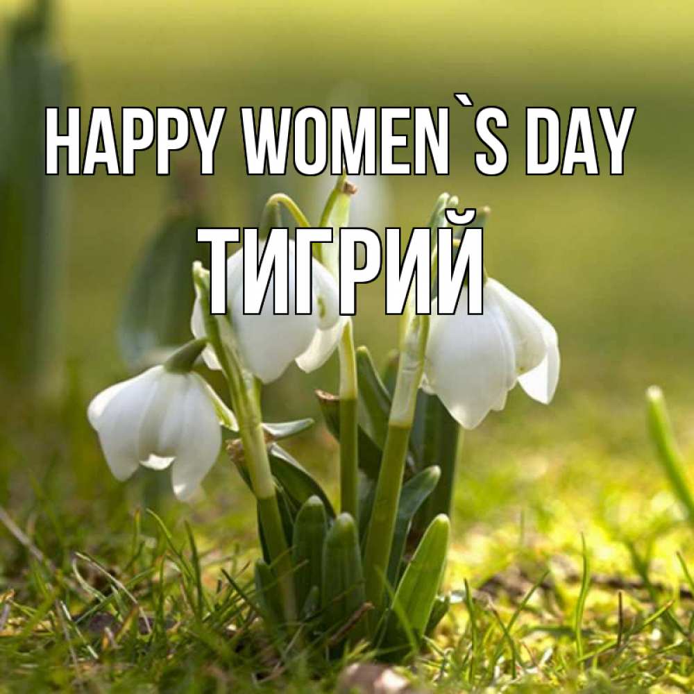 Greetings card с именем, Тигрий happy women`s day ранние цветы 2 Greetings with text for free download 